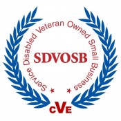 SDVOSB VA Logo